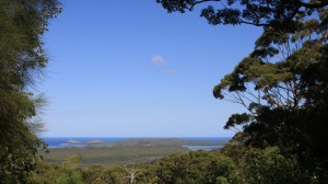 Knoll Lookout