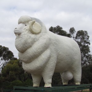 Gigant Ram